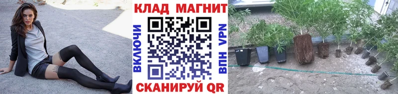 Купить закладку Арамиль ТГК Cocaine Alpha-PVP ГАШИШ Каннабис