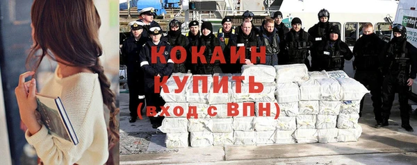 ешки Няндома